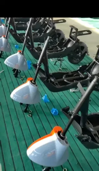 2023 China Factory Divect Sales LED Display 48V Electric Scooter Bike 14in Balancing Bicycle Electric City Bike