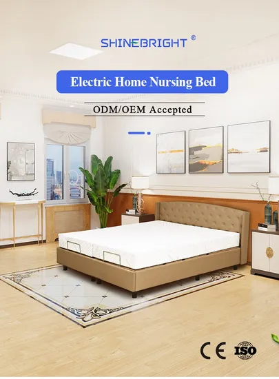 Limited Time Offer Double Function Double Electric Home Bed 