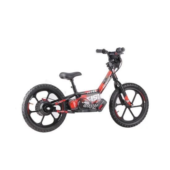 Kids Mini Electric Bicycle Safety Light Weight Ebike 36V 2.5ah 250W Brushless Hub Motor Disc Brake Electric Balance Bike