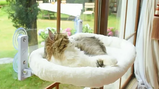 Chinese Manufacturers Dog Beds Long Service Time Amazon Dog Beds China Manufacture 